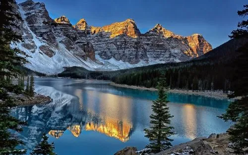 可靠性新型